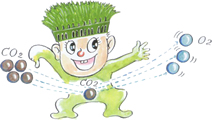 CO2の吸収(温暖化防止)
